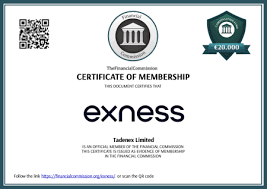 Choosing the Right FX Broker for Your Trading Success